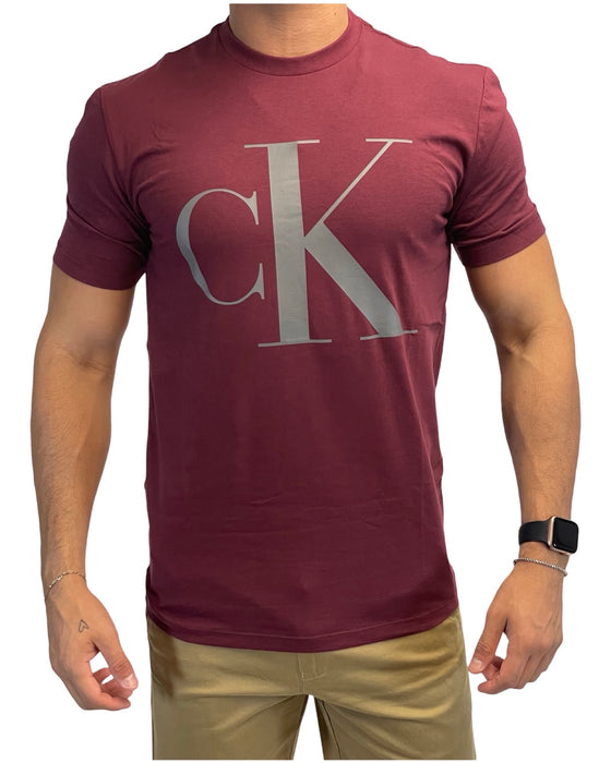 T-Shirt Calvin Klein para caballero