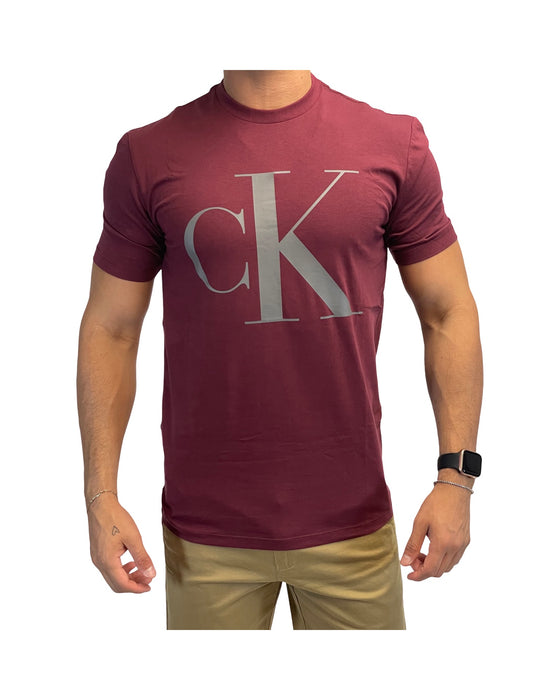 T-Shirt Calvin Klein para caballero